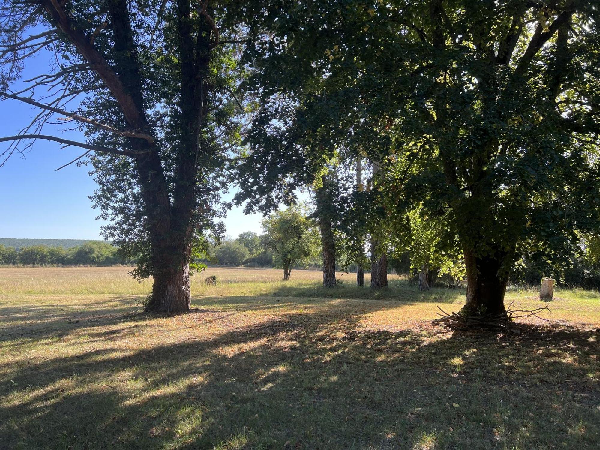 Ferienhaus La Petite Troliere